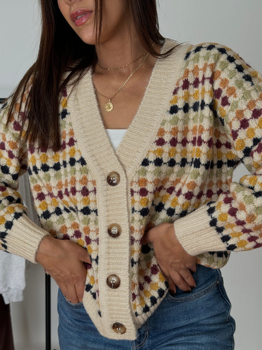 ELY KNIT CARDIGAN (MULTICOLOR BOYFRIEND)